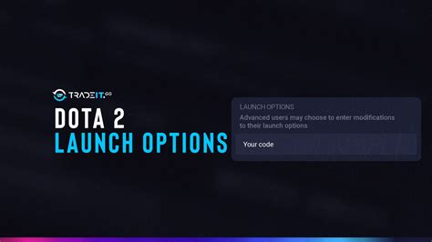 dota 2 launch options